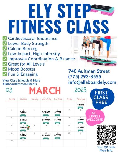 Ely Step Fitness Class